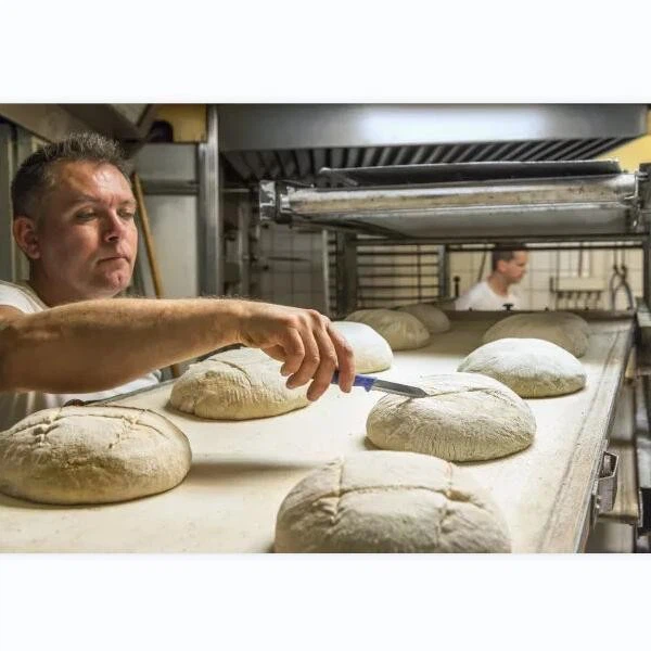 DATEM 80% Dosage E472e CAS 308068-42-0