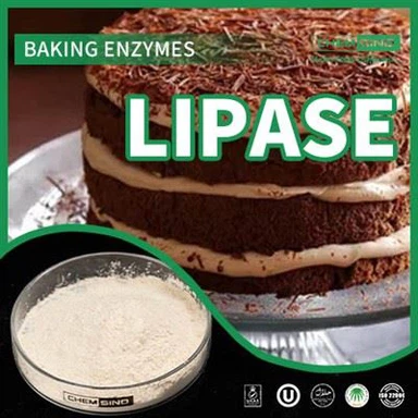 Ενισχύστε τη διάσπαση του λίπους σας: Ένζυμο λιπάσης για βέλτιστη διατροφή ΑΡΙΘΜΟΣ CAS:9001-62-1