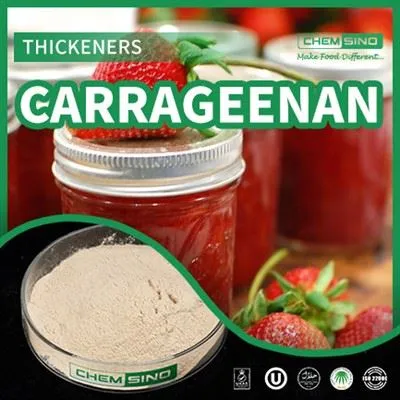 Carrageenan: Your Formula For Success, Elevating Flavor And Texture To Perfection! CAS NO.9000-07-1